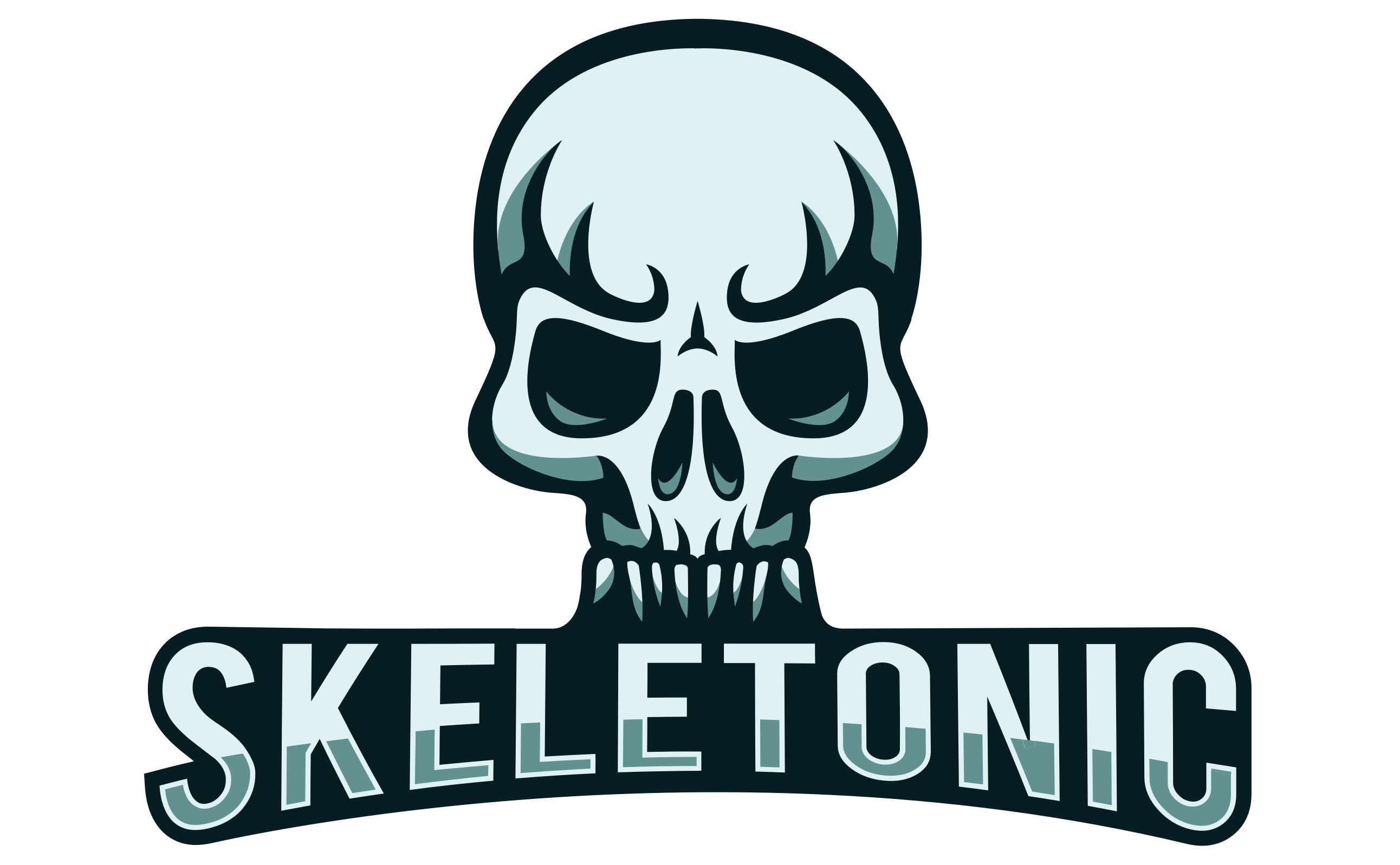 a banner for the Skeletonic Stylus Library
